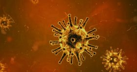 Corona Update 29 juni 2020! Maatregelen voor het bedrijfsleven i.v.m. het Coronavirus
